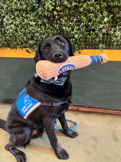 PHOTOS: Facility dogs show Astros spirit at Children's Memorial Hermann  Hospital