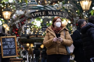 Road Scholar Christmas 2022 Quebec Live Updates: Quebec Limits Businesses To 50% Capacity