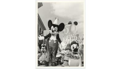 happy birthday disney club