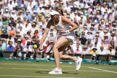 July 2024 - Wimbledon Tennis Fortnight