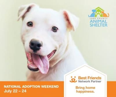 Lake county spca sales
