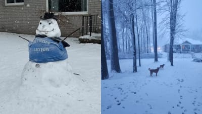 Detroit Lions blue ski masks, explained: Team sends out advisory - Pride Of  Detroit