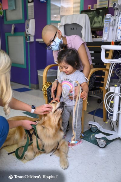 PHOTOS: Facility dogs show Astros spirit at Children's Memorial