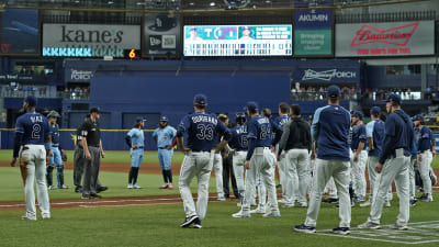 Kiermaier hit after scouting report flap; Rays to playoffs