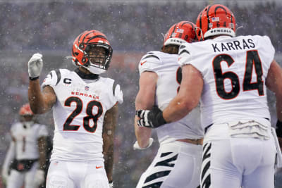 NFL divisional round weekend: Cincinnati Bengals v Tennessee