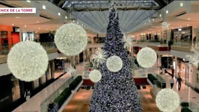 Olympic & World Champion Skaters Light Up the Ice at Galleria Dallas for  Macy's Grand Tree Lighting Celebration