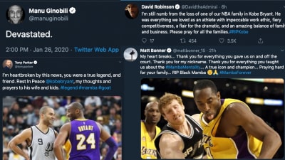 Timeless Sports on Twitter  Kobe bryant, Kobe bryant pictures, Kobe