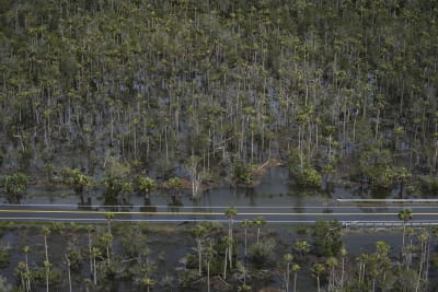 Tropical Storm Idalia descends on North Carolina after pounding Florida,  Georgia and South Carolina