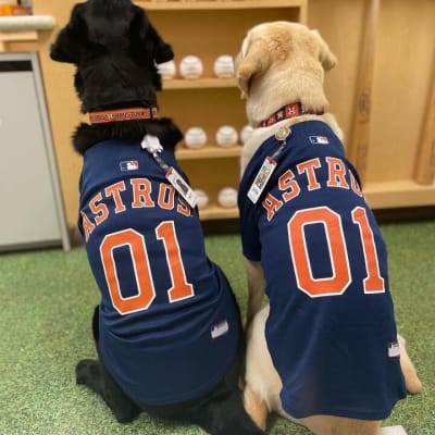 PHOTOS: Facility dogs show Astros spirit at Children's Memorial