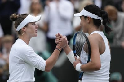 From Underdogs to Champions: Hsieh and Zelensky's Inspiring Journey at Wimbledon - Hsieh Su-wei and Elina Svitolina's Notable Victories at Wimbledon