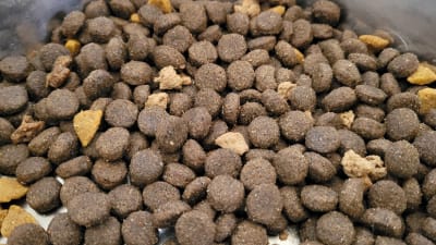 Kibble