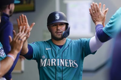 Seattle Mariners on X: We're missing all the very good dogs at