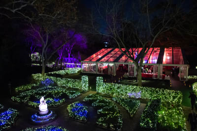 Christmas Village To Light Up Bayou Bend