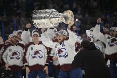 Treats Unleashed  Pets First St. Louis Blues NHL Hockey Jersey
