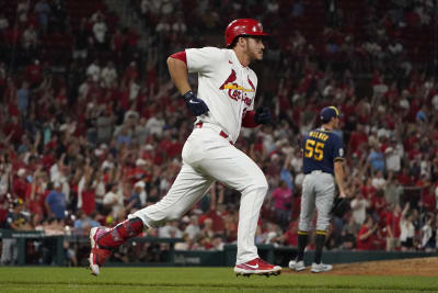 MLB Standings Update: The Cardinals clinch with their 17th straight - Over  the Monster