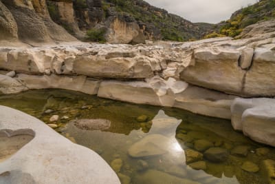 Brewster_County