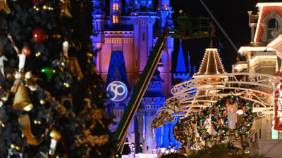 EARidescent holiday décor arrives at Walt Disney World