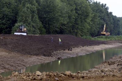 Federal dollars received to plant trees in Johnstown region