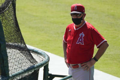 angels spring training jersey