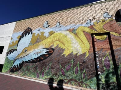 Mural Monday: News4JAX features best murals in Northeast Florida