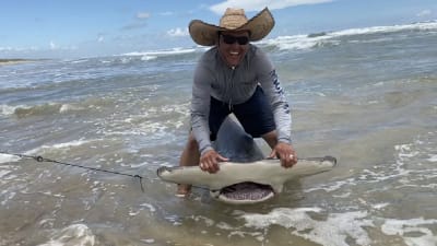 San Antonio man reels in 12-foot hammerhead shark along Padre Island  National Seashore