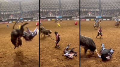 Video shows dad save son from charging bull at Texas rodeo