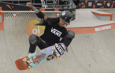 What do brazilian skaters think of their pros?