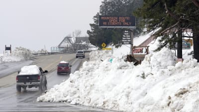 Snow Problem At All: Volunteers Dig The High Line