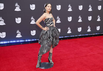 Premios Grammy 2020: los nominados, sus canciones y todo lo que