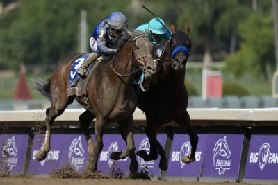 Talking Horses: Live In The Dream off to Breeders' Cup after giant