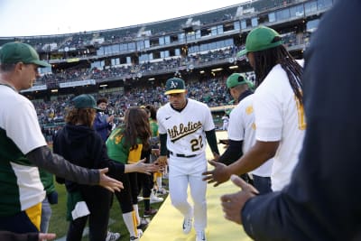 Oakland A's on X: There's no day like Youth Baseball and Softball