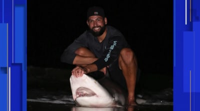 You guys just got a great white shark:' Fishing charter captain talks about  rare catch