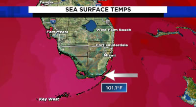 Sea Surface Temperatures