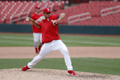 st. louis cardinals mlb jersey green