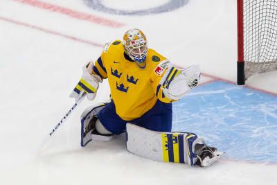 Player Profile  2021 IIHF World Championship