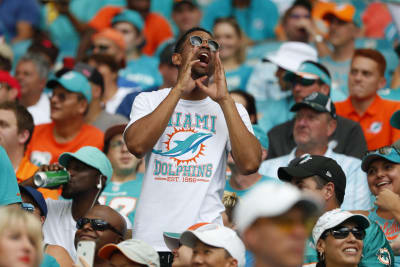 Miami Gardens, Florida, USA. 8th Sep, 2019. A Miami Dolphins fan