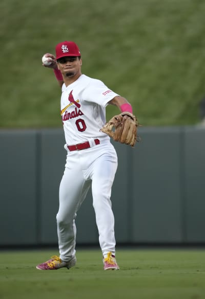 Cardinals rookie gets back 1st-hit ball after Mets' Alonso throws it into  the stands