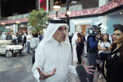 Look: Qatar unveils mini forest inside airport terminal ahead of FIFA World  Cup