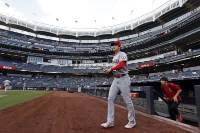 Getting SO close to Shohei Ohtani and snagging TWO GAME HOME RUN BALLS at  Yankee Stadium! 