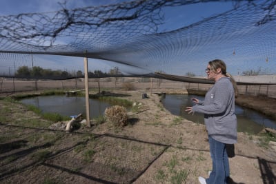 Inside the plan to save some of the biggest freshwater fish