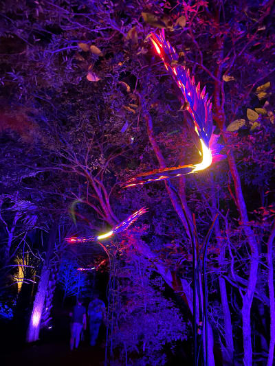Photos: Lightscape display brings unique holiday experience ...