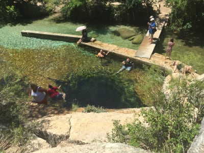 How To Visit Jacob's Well Natural Area in Wimberley, Texas