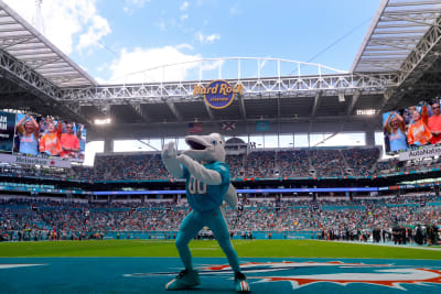 miami dolphins january 2023