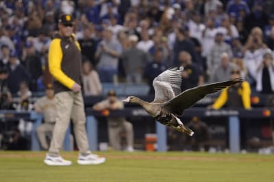 Tony Gonsolin goes deep, Blake Snell doesn't, Dodgers beat Padres