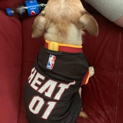 Photos: Share your Miami Heat pride and see how other fans are celebrating