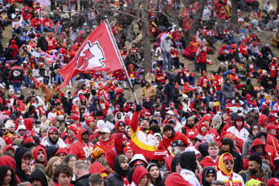 Fan Watches Chiefs' Super Bowl LIV Victory Parade from a Tree