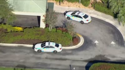 Cat Crashes Miami Marlins Baseball Game, Becomes Rally Cat