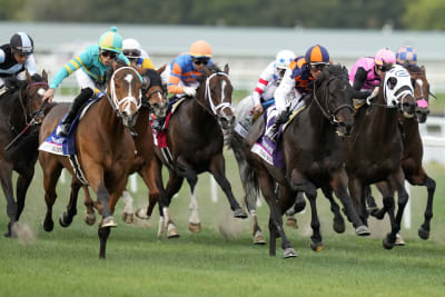 Marlins Man' owns horse running at Gulfstream Park