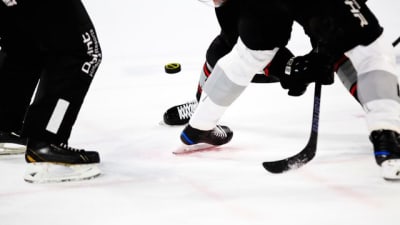 Red Wings debut Reverse Retro unis vs. Leafs, trying to extend streak to  five 