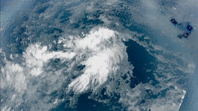 Wave hurricane cheap